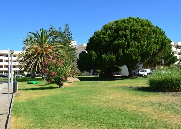 Lägenhet Above The Beach, 10 Min From The Center - Casa Da Tartaruga Lagos