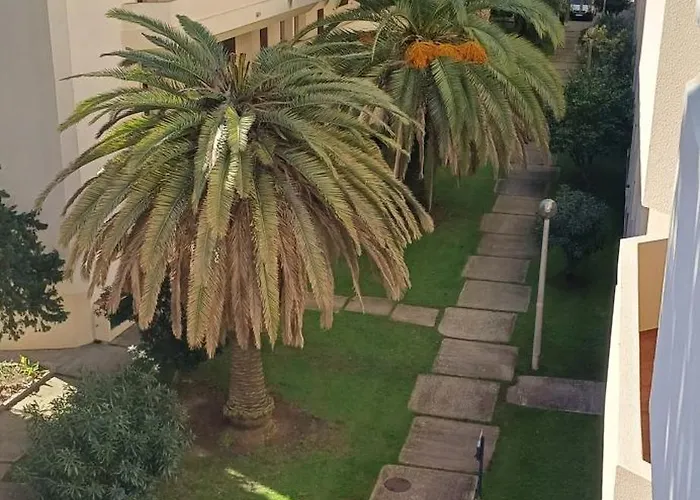 Above The Beach, 10 Min From The Center - Casa Da Tartaruga شقة